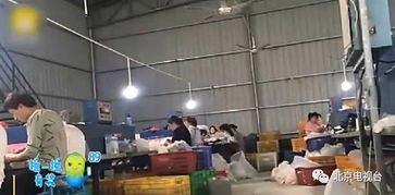 别信 海淘追踪物流也不一定保真 莆田淘变海淘 ,全靠物流公司 帮忙