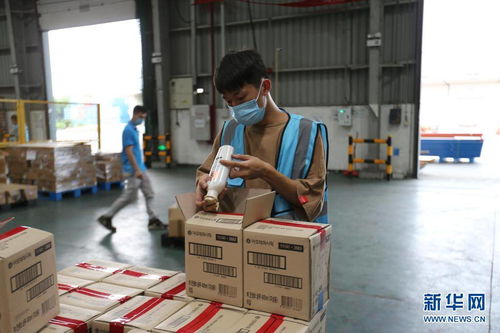 七一 重要讲话精神在基层 开放不息, 海淘 不止 疫情防控常态化下的广州对外开放之路