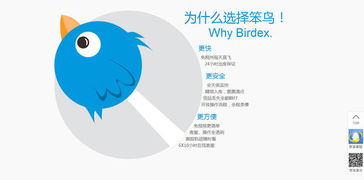 笨鸟海淘 把转运物流打到极致,做海淘供应链市场的先飞笨鸟