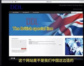 顺丰等被曝伪造海淘物流 公司回应系黄牛无内部协助