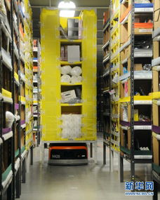 中国海淘热带火亚马逊生意