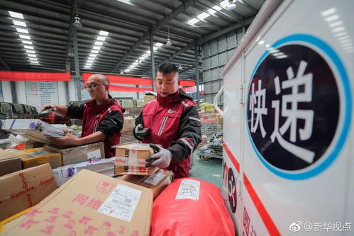 双11成都消费者最爱买什么 成都 海淘 为啥便宜 收货还快