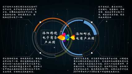 丰趣海淘跨境电商案例分析(文件)