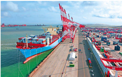 山东电子口岸如何优化海淘物流体验