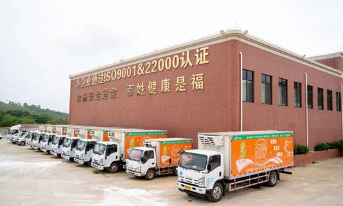 广东罗定天溪冷链物流产地仓一期项目正式动工，助力海淘物流升级