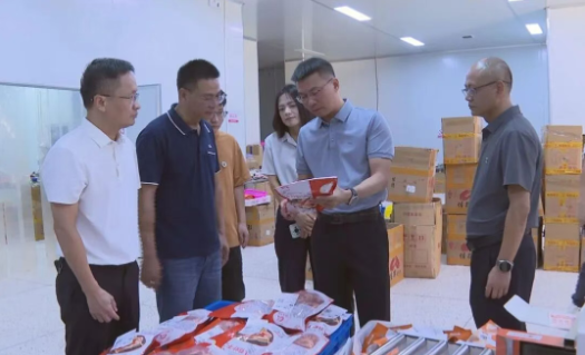 县长调研电商及口岸经济工作，聚焦海淘物流发展新路径