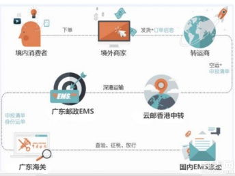 图说海淘 个人包裹直邮进口清关代理、行邮清关与深圳物流服务全解析，助您找到便宜高效的海淘物流方案